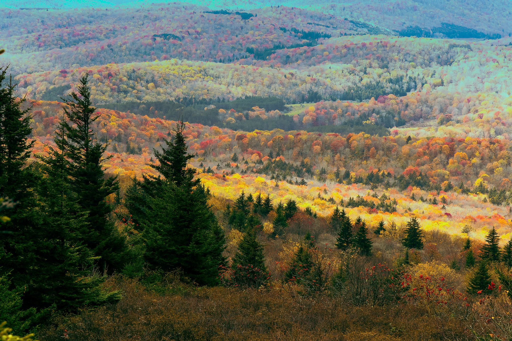 Spruce Knob WV